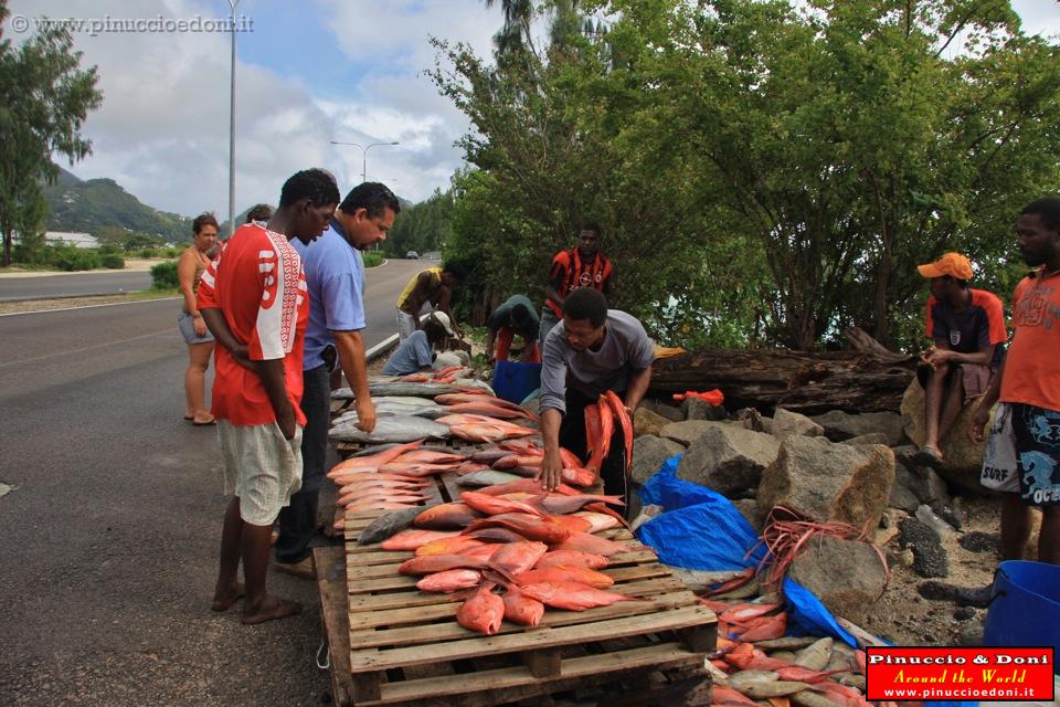 SEYCHELLES - 552 - Mercato del pesce lungo la strada.jpg